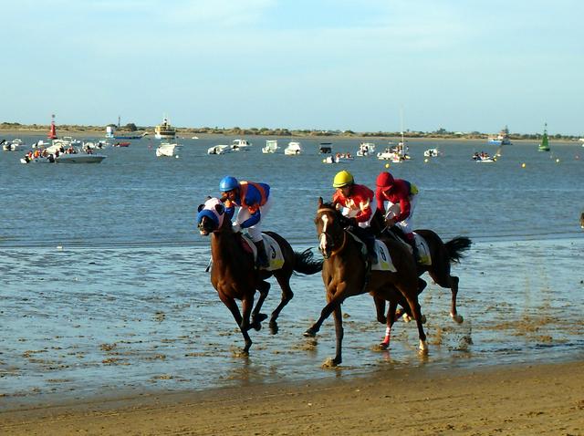 Horse race on the beach