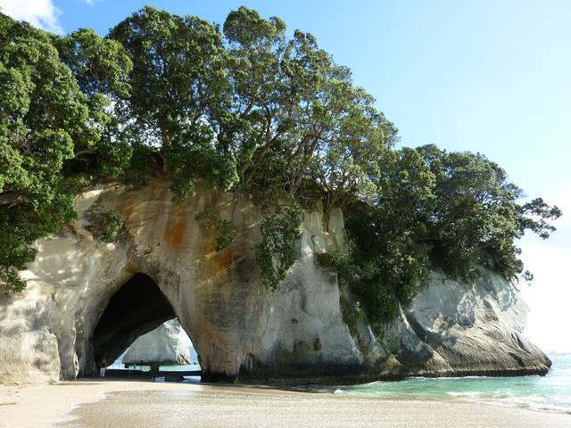 Cathedral Cove