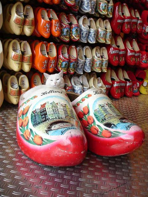 Clogs in a shop in Amsterdam