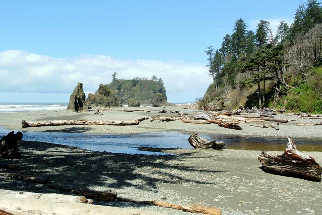 Cedar Creek and Abbey Island seen from Ruby Beach