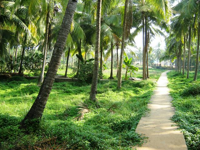 Footpath to the beach at Alavil