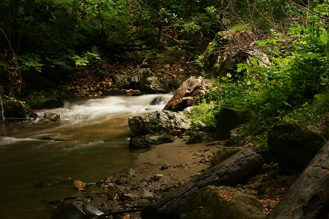 Cheile Râșnoavei.