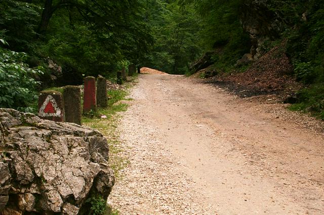 The canyon Cheile Râșnoavei.