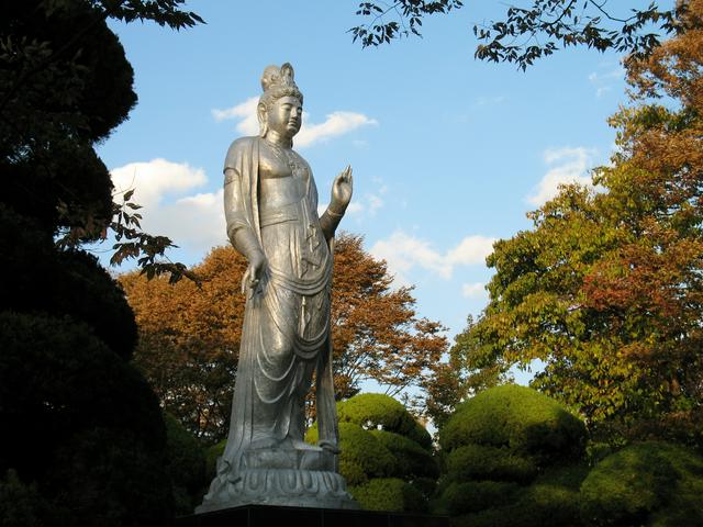 Blessings of Peace, Chuo Park