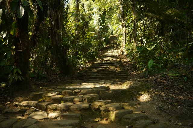 Stairs at Ciudad Perdida