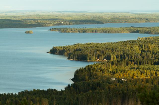 Coastline of Iso Sapsojärvi seen from Vuokatti