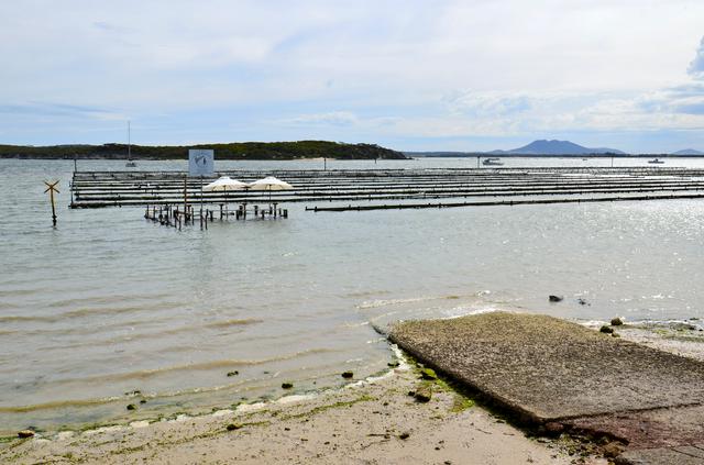 Coffin Bay oyster beds