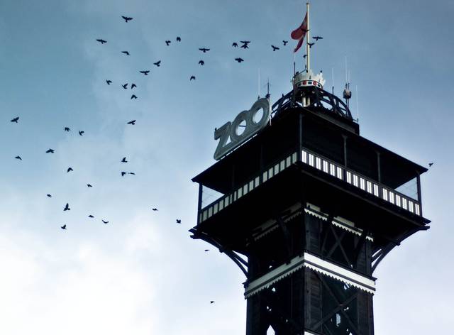 The iconic tower of the Copenhagen zoo