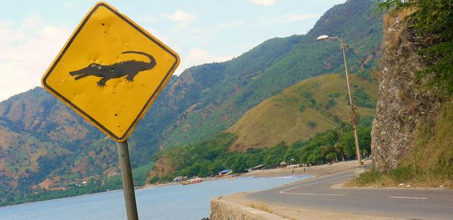 Crocodile warning in Dili city