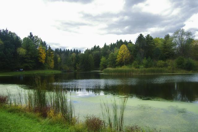 Horseshoe Pond