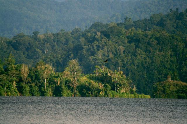Lake Lindu in the national park