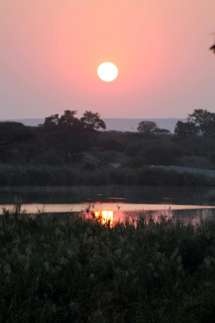 Dawn in Kruger National Park