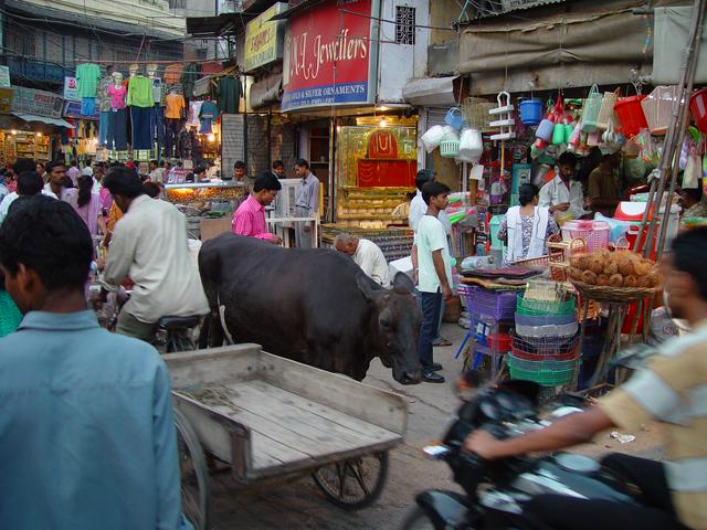 At the main bazaar in Delhi