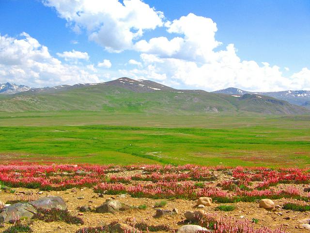 Deosai Plateau 2