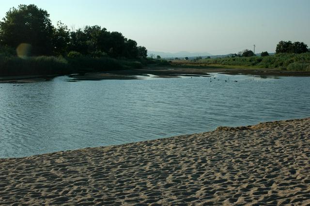 There is good bird watching at the Tordera Delta