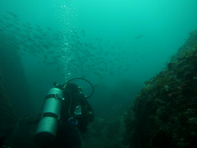 Diving in Cabo Frio