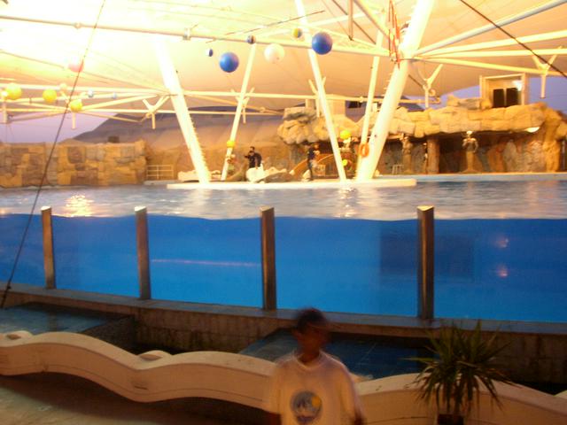 Kish Dolphin & Crocodile Park