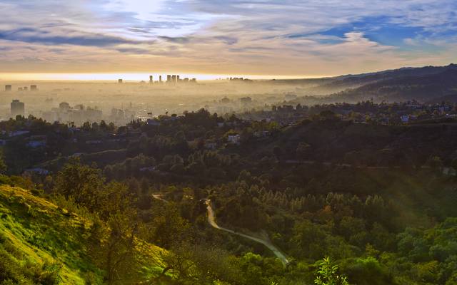 Looking over the city from Griffith Park