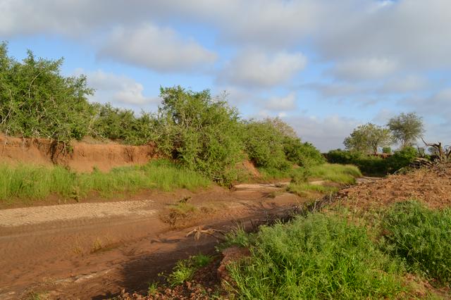 Dry stream bed of the Voi River