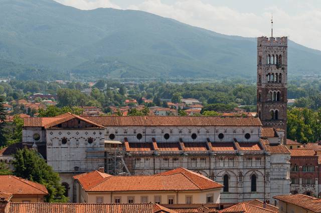 View of the Duomo and the hills beyond, from Torre Guinigi