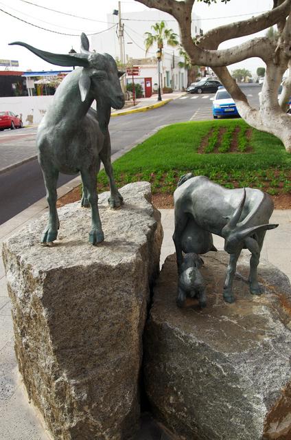 Goats in front of the town hall