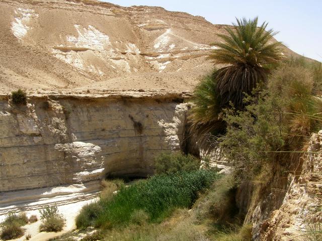 The Ein Akev oasis