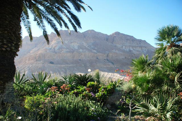 Kibbutz Ein Gedi