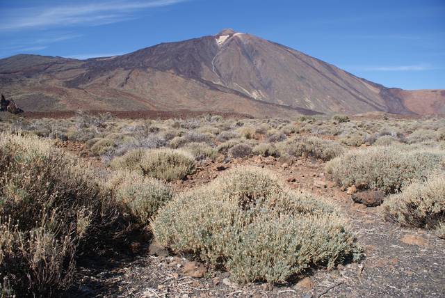 El Teide