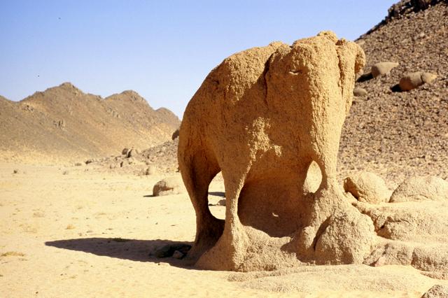 Saltwork formation in the shape of elephant in Illizi