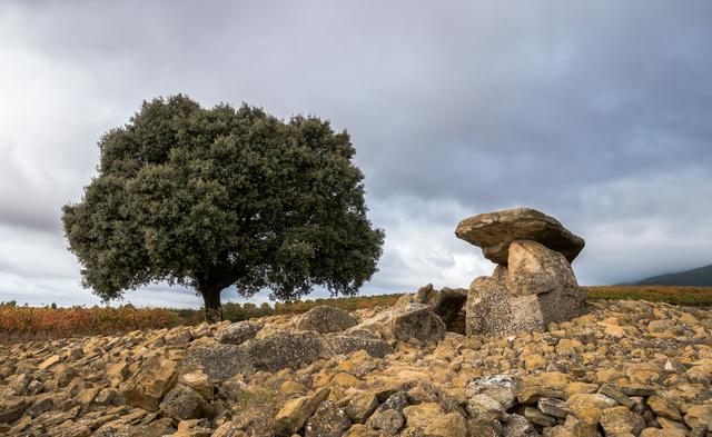 Dolmen in the midst of vineyards near Elvillar