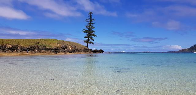 Emily Bay viewing Lone Pine