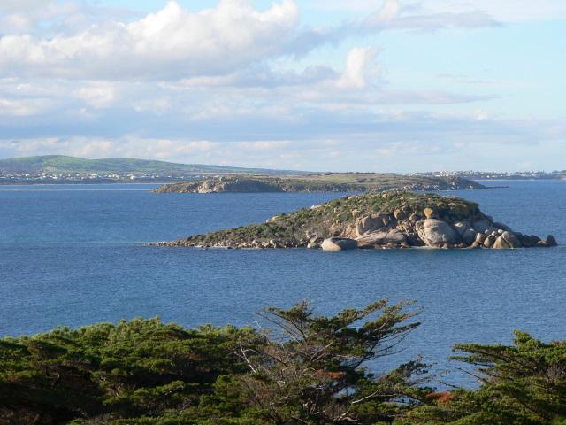 Wright Island, in front of Granite Island in Encounter Bay at Victor Harbor