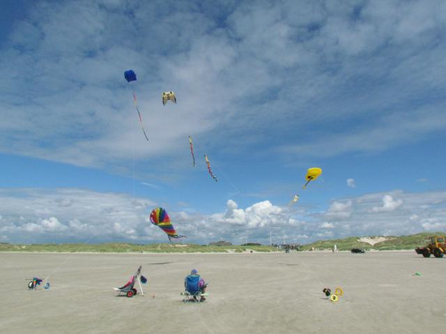 Kites on the beach at Fanø