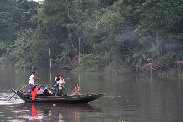 Sunderban