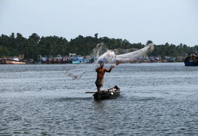 Fishing in Back water of Kollam