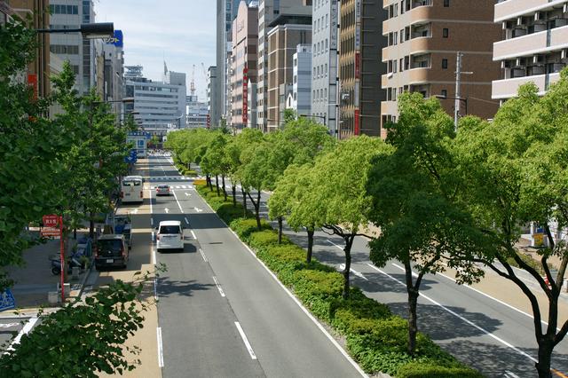 Flower road in downtown Kobe