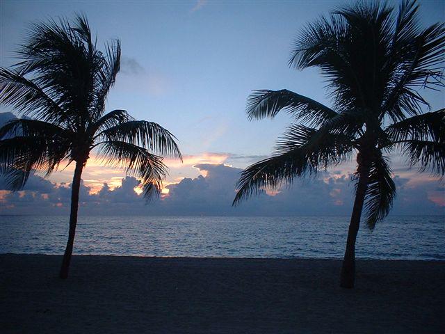 The beach in the evening