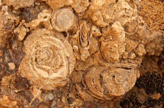 Fossil cliffs near Dubai