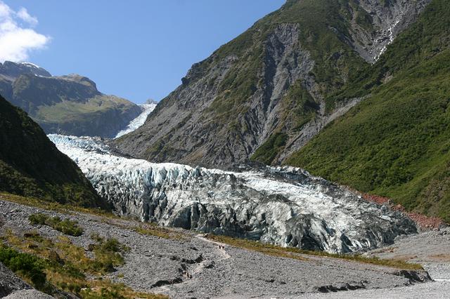 New Zealand glaciers are unique in all the world in descending through rain forest.