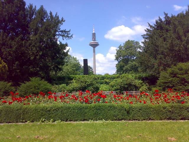 Frankfurt Grüneburgpark with Europe TV-tower in the background