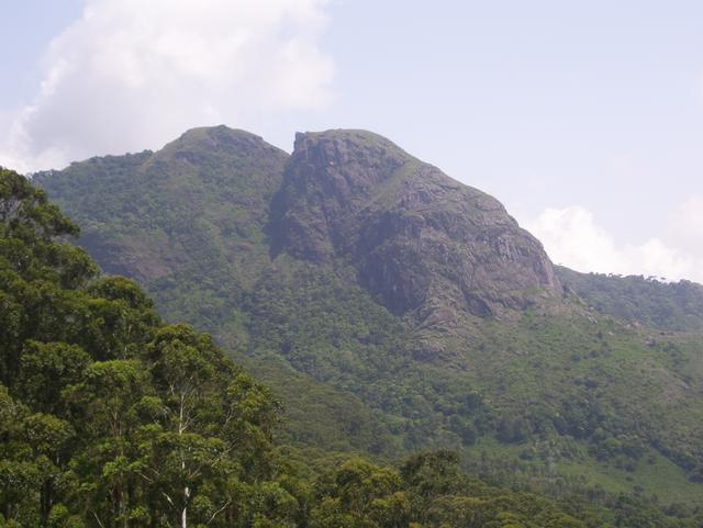 Frog Hill view in GudalurA roaming Elephant in Mudumalai National Park