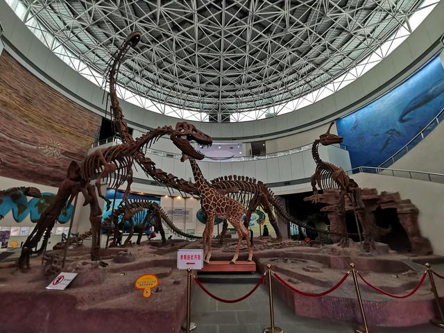 Fujian Museum - Nature Museum