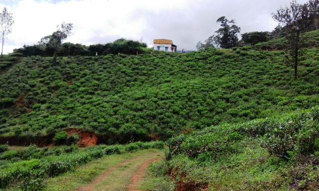 Scenic school near Soochippara waterfall, Chooralmala Road, Meppadi