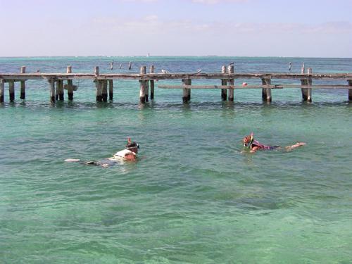 Fish watching season at Garafon Park