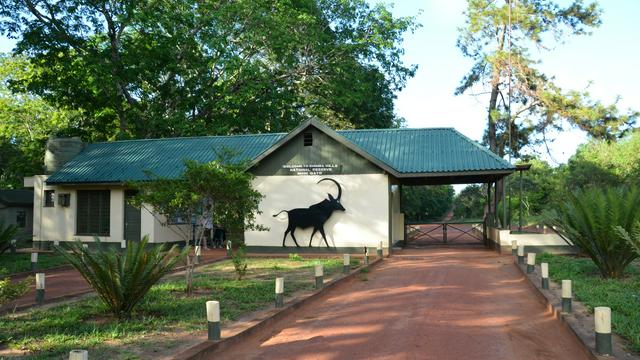 Gate Shimba Hills