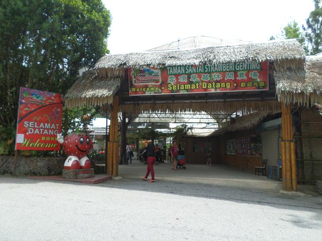 Genting Strawberry Leisure Farm