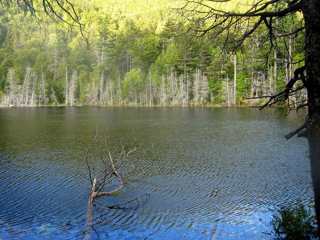 A small mountain lake east of the High Peaks