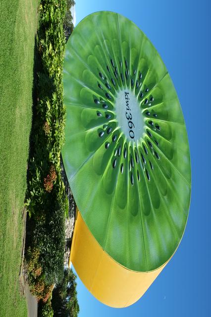 Giant kiwifruit at Te Puke Kiwi 360