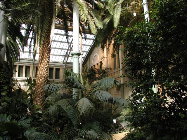 The winter Garden at Glyptoteket