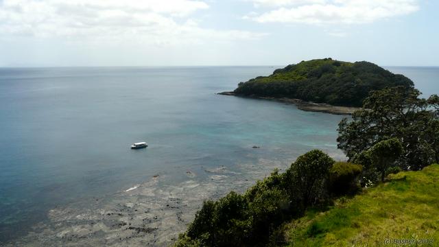 Glass bottom boat in Goat Island marine reserve